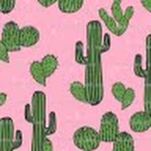 Meet your Posher, Audrey